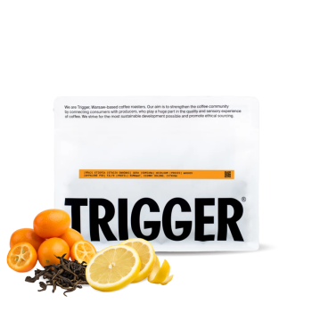 Etiopie GERA - Trigger Coffee