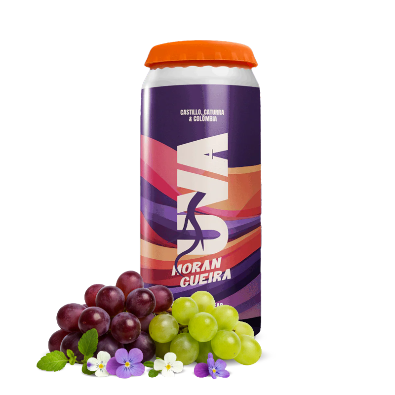 Výběrová káva SOLO Brewing Kolumbie UVA MORANGUEIRA