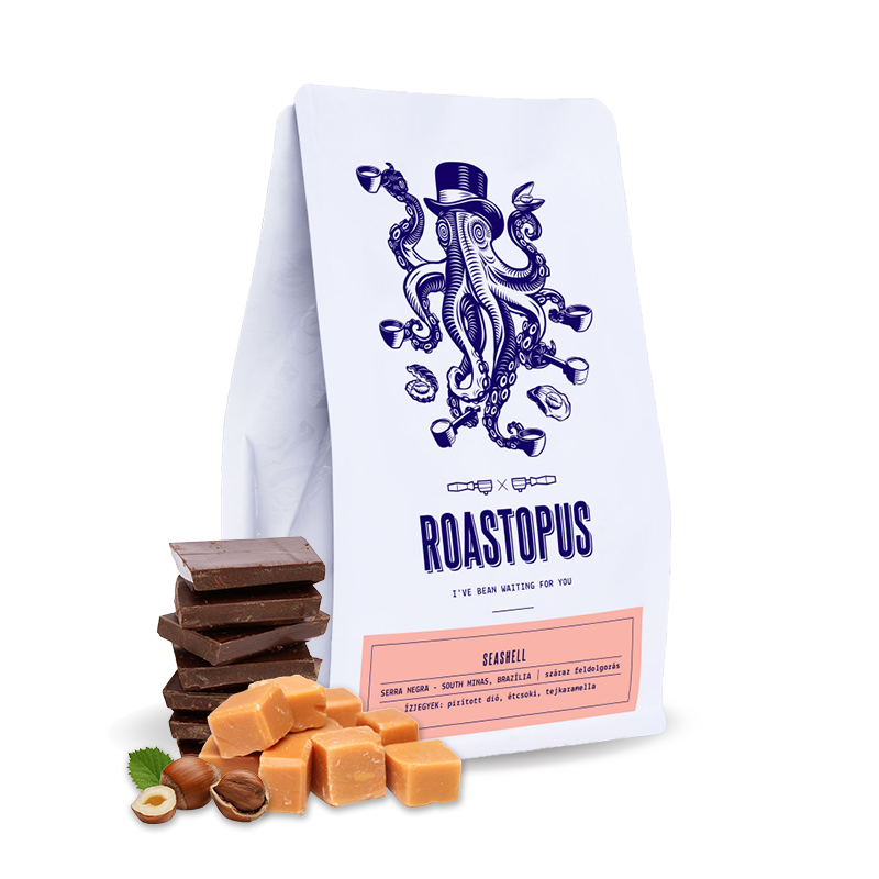 Výběrová káva Roastopus Brazílie BRIOSCHI - SEASHELL
