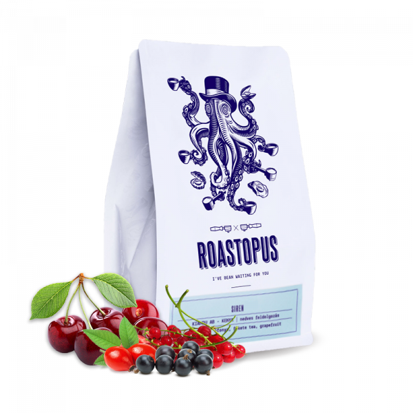 Výběrová káva Roastopus Burundi GAHAHE - SIREN