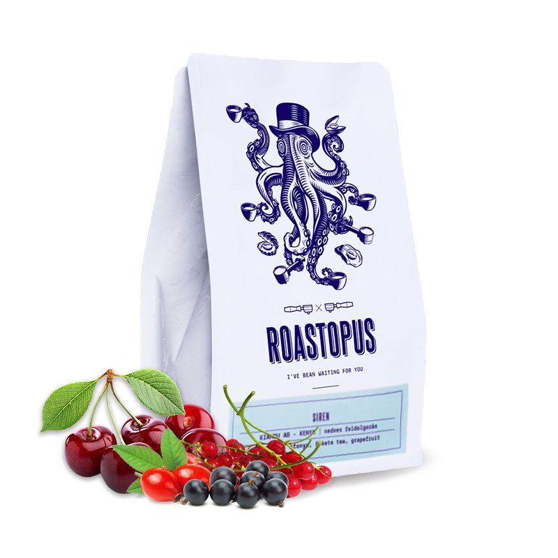 Výběrová káva Roastopus Burundi GAHAHE - SIREN