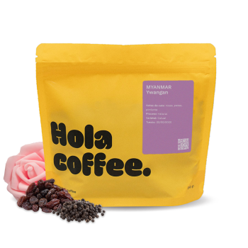 Myanmar YWANGAN - filtr - Hola Coffee