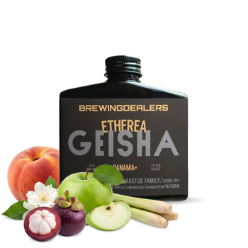 Panama ETHEREA - geisha - 100 g - Brewing Dealers