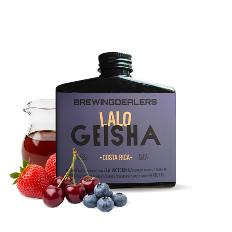 Výběrová káva Brewing Dealers Kostarika LALO - 100 g