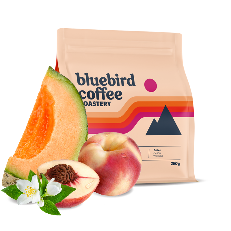 Výběrová káva Bluebird Coffee Roastery Guatemala EL SOCORRO - gesha - 100g