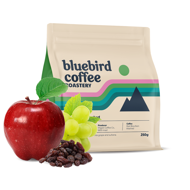 Výběrová káva Bluebird Coffee Roastery Burundi MIGOTI HILL