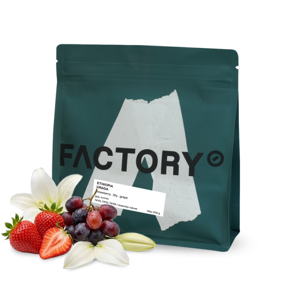 Výběrová káva Factory Coffee Roastery Etiopie GUJI URAGA