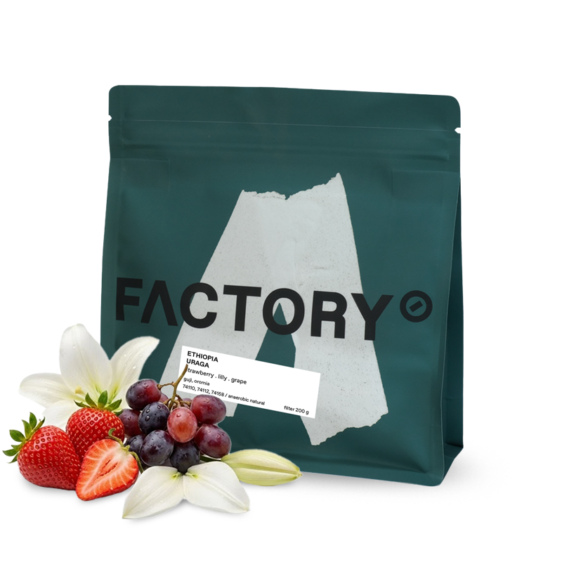 Výběrová káva Factory Coffee Roastery Etiopie GUJI URAGA