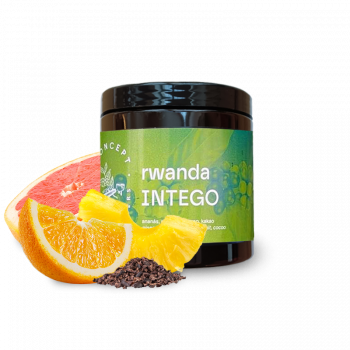 Rwanda INTEGO - Concept