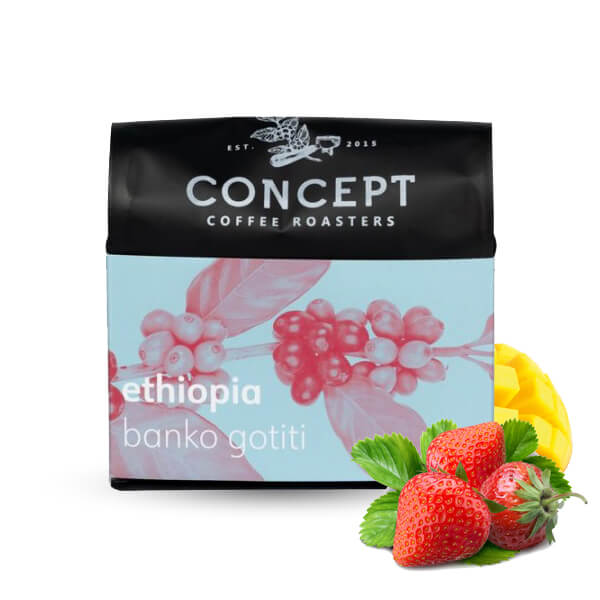 Výběrová káva Concept Coffee Roasters Etiopie BANKO GOTITI 2019