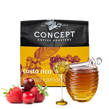 Výběrová káva Concept Coffee Roasters Kostarika ALONSO CAMACHO