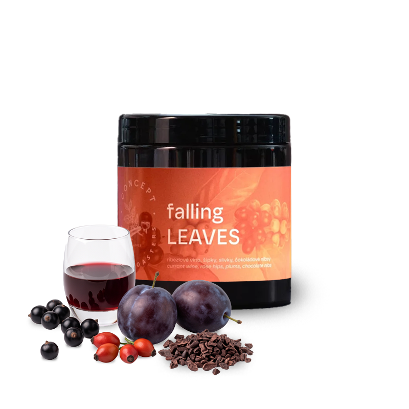 Výběrová káva Concept Coffee Roasters Kolumbie FALLING LEAVES - podzimní espresso limitka