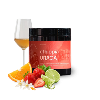 Etiopie URAGA - Concept