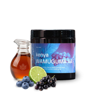 Keňa WAMUGUMA AA - Concept