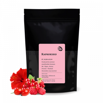 Keňa KAPSOKISIO - Tim Wendelboe