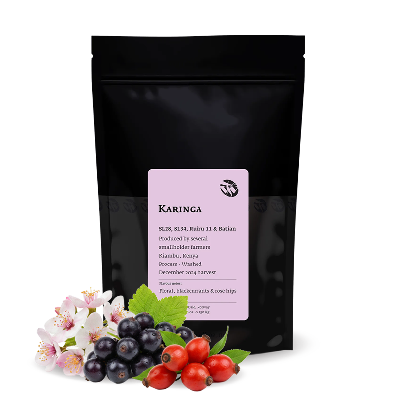 Výběrová káva Tim Wendelboe Keňa KARINGA