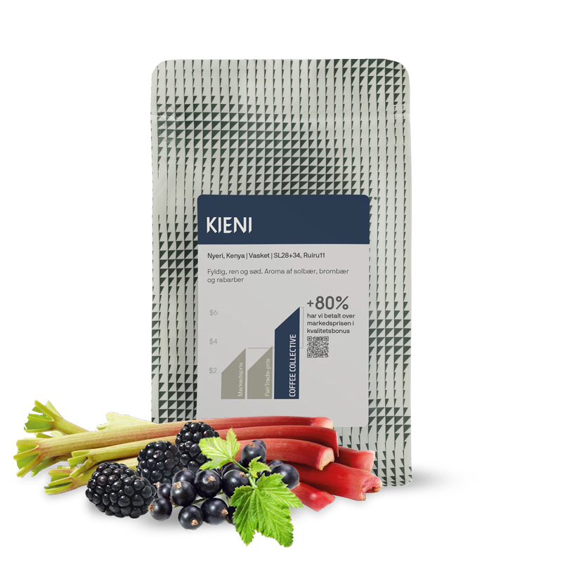 Výběrová káva The Coffee Collective Keňa KIENI - 1000g