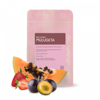 Etiopie MULUGETA RED HONEY - 200g - Coffee Collective