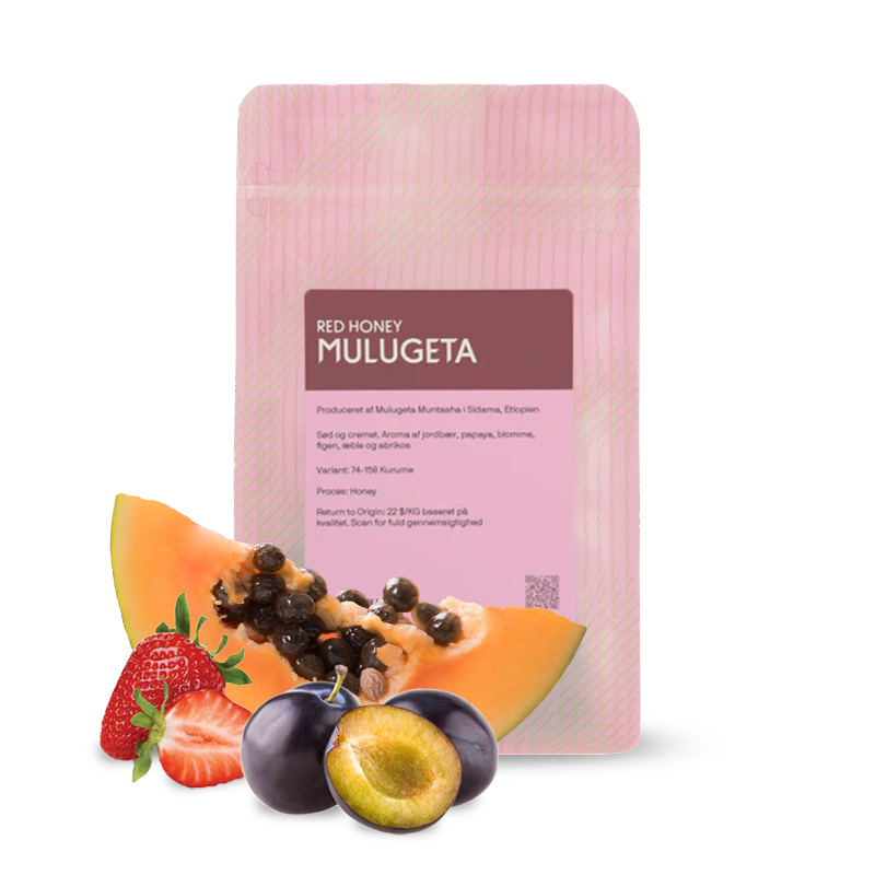 Výběrová káva Coffee Collective Etiopie MULUGETA RED HONEY - 200g