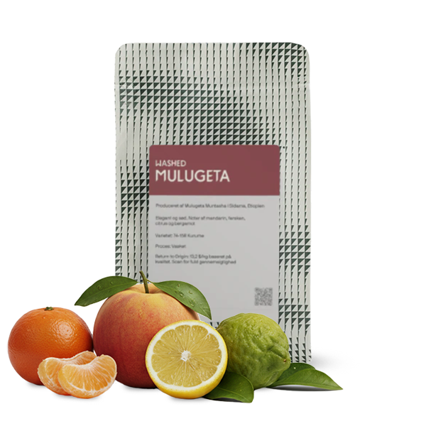 Výběrová káva The Coffee Collective Etiopie MULUGETA WASHED
