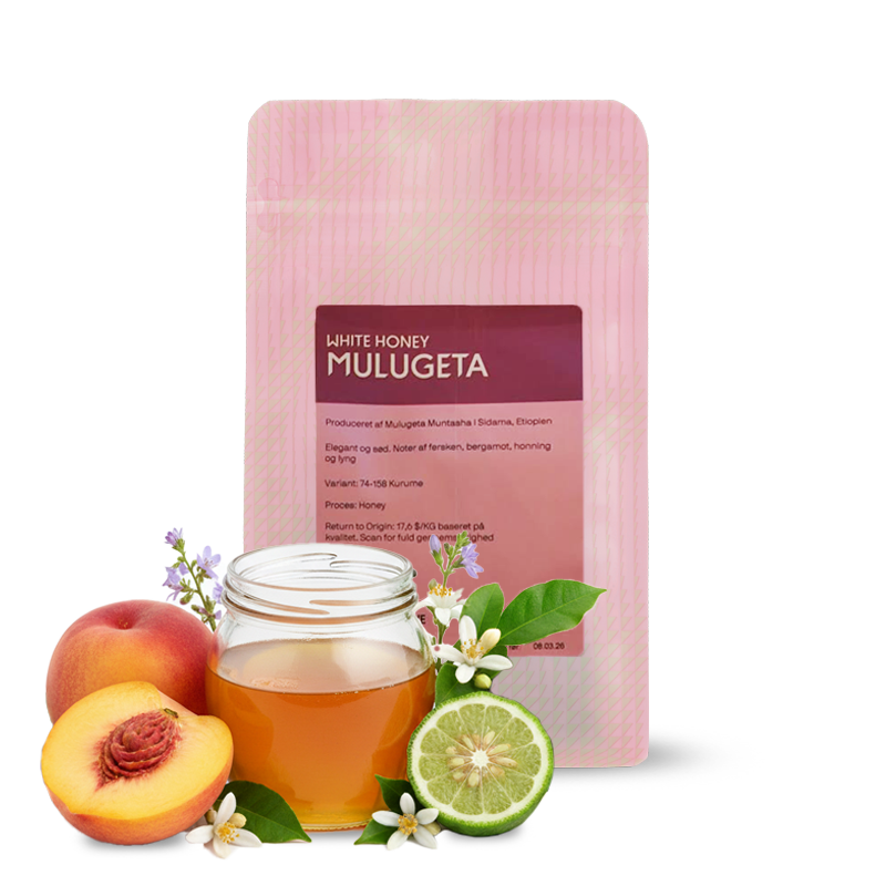 Výběrová káva The Coffee Collective Etiopie MULUGETA WHITE HONEY - 200g