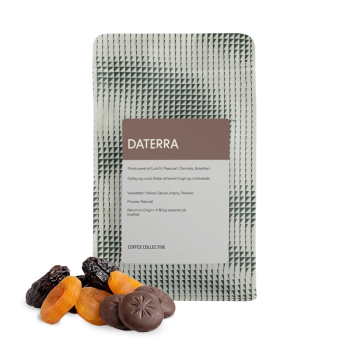 Brazílie DATERRA - The Coffee Collective