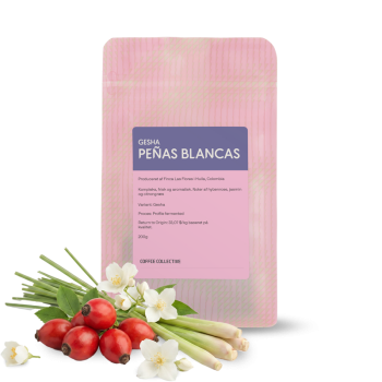 Kolumbie PEÑAS BLANCAS - gesha - 200 g - The Coffee Collective