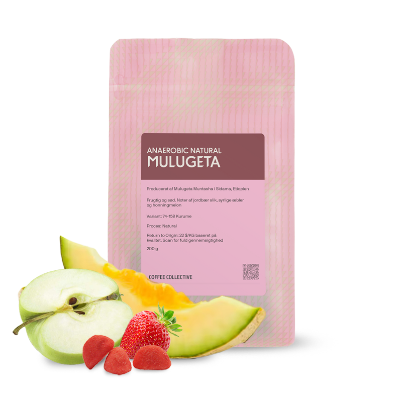 Výběrová káva Coffee Collective Etiopie MULUGETA ANAEROBIC