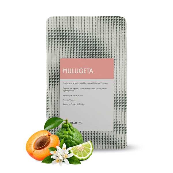 Výběrová káva Coffee Collective Etiopie MULUGETA