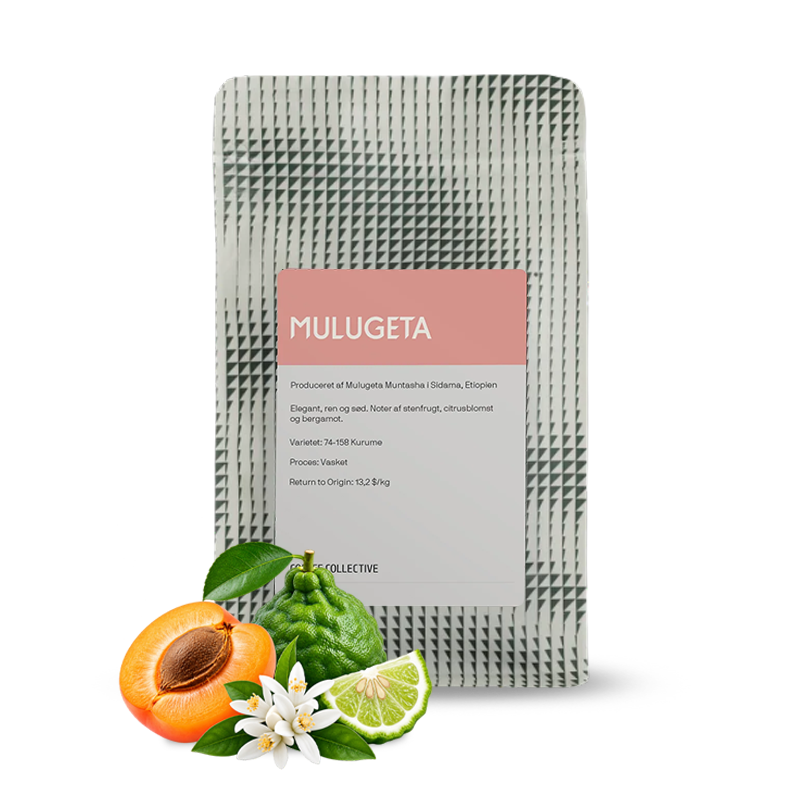 Výběrová káva Coffee Collective Etiopie MULUGETA