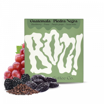 Guatemala PIEDRA NEGRA - Boo! Modern Coffee Co.