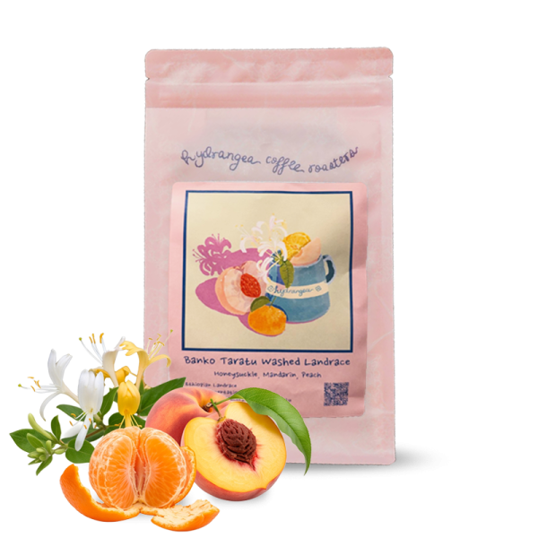 Výběrová káva Hydrangea Coffee Roasters Etiopie BANKO TARATU