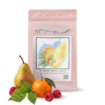 Kolumbie HACIENDA EL OBRAJE - Hydrangea Coffee Roasters