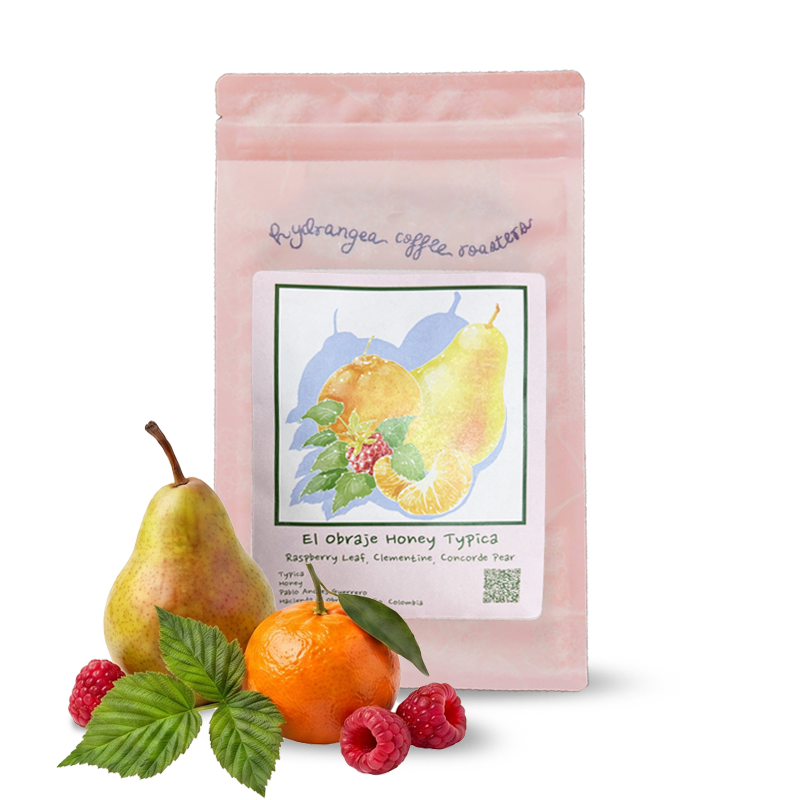 Výběrová káva Hydrangea Coffee Roasters Kolumbie HACIENDA EL OBRAJE