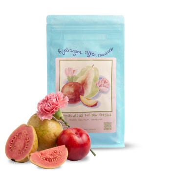 Kolumbie FINCA INMACULADA - 114g - Hydrangea Coffee Roasters