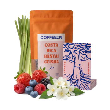 Kostarika BÁNYAI GEISHA - 100g - Coffeein