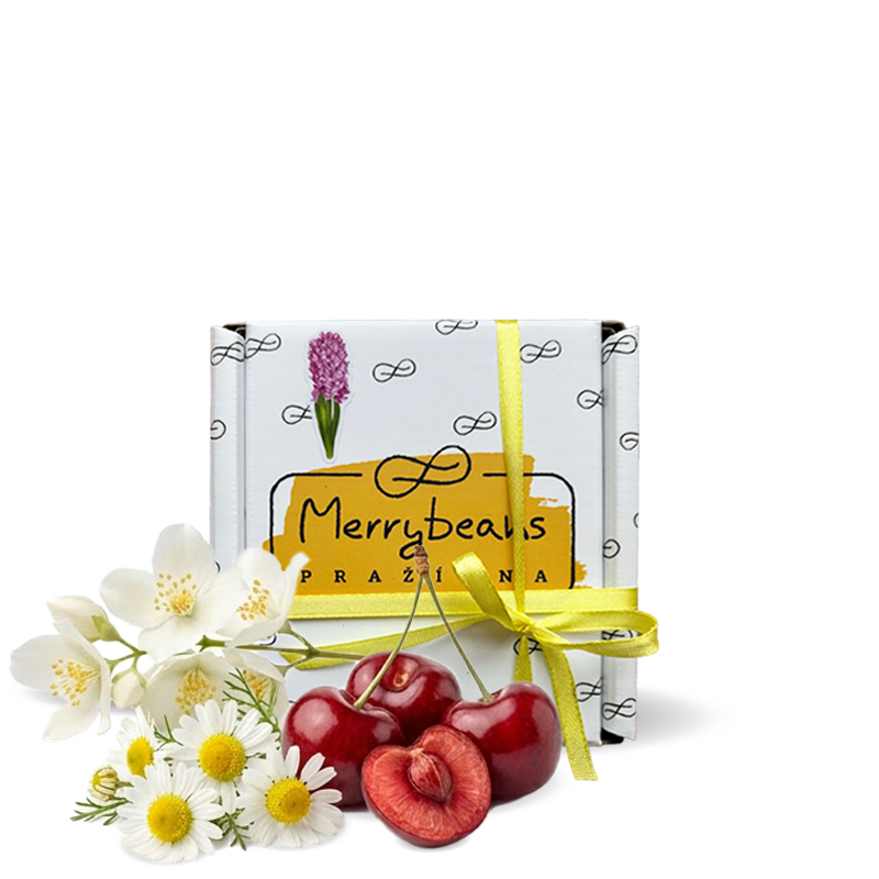 Výběrová káva Merrybeans Kolumbie KYTIČKA - FINCA NOGALES - jaro v šálku - 150g