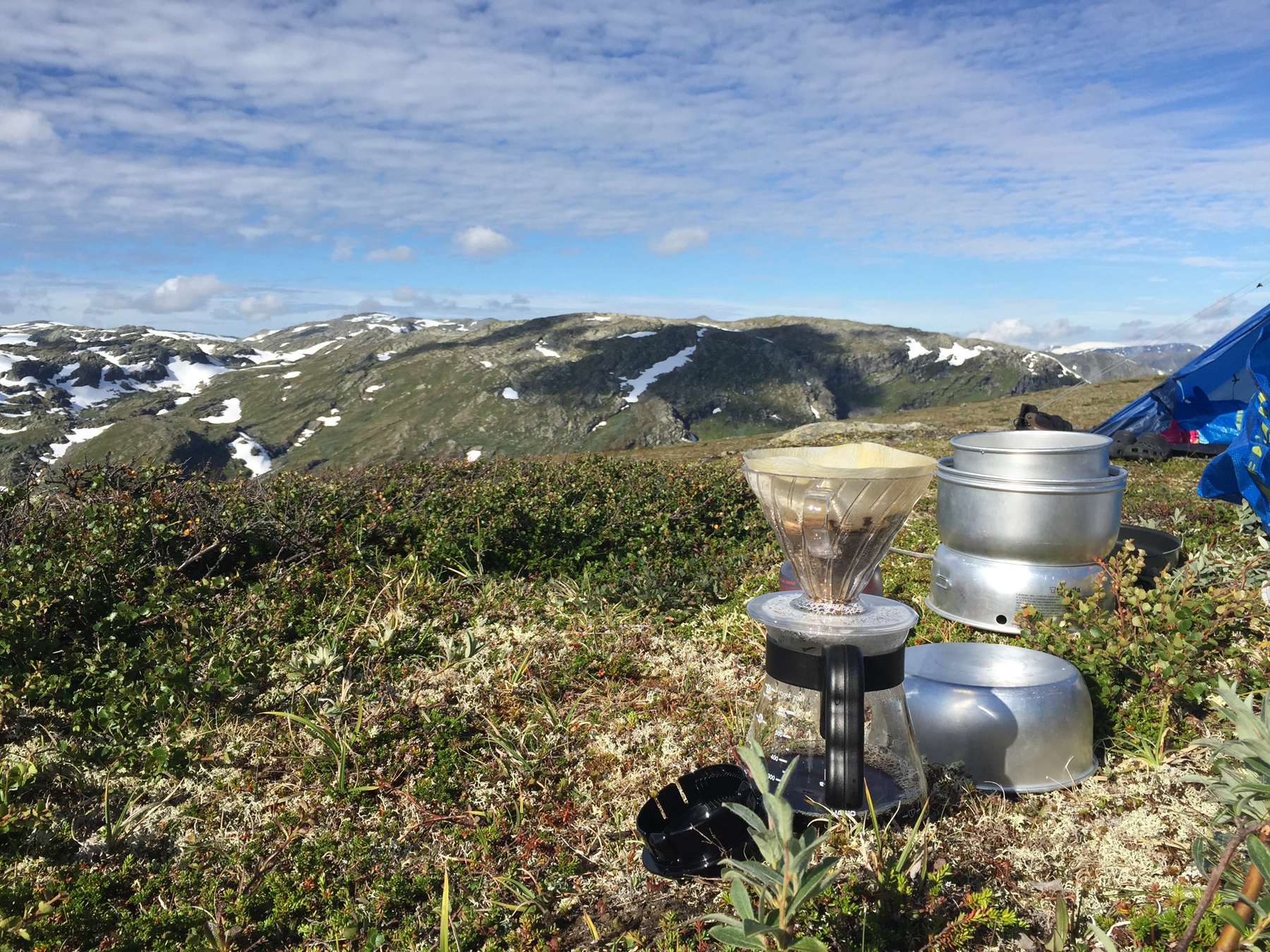 Káva pro Hario V60 | Kofio.cz